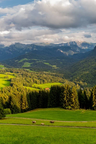 Vacker Upptäcktsfärd Genom Det Alpina Landet Österrike — Stockfoto