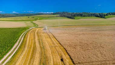 Schmalkalden yakınlarında yaz sonu tahıl hasadı - Thüringen - Almanya