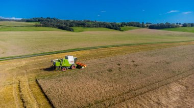 Schmalkalden yakınlarında yaz sonu tahıl hasadı - Thüringen - Almanya