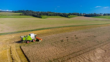 Schmalkalden yakınlarında yaz sonu tahıl hasadı - Thüringen - Almanya