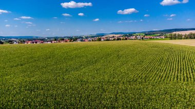 Schmalkalden yakınlarında yaz sonu tahıl hasadı - Thüringen - Almanya