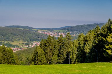 Güzel yaz sonu yürüyüşü Thüringen Ormanı 'nda - Steinbach-Hallenberg - Almanya