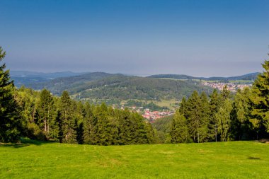Güzel yaz sonu yürüyüşü Thüringen Ormanı 'nda - Steinbach-Hallenberg - Almanya