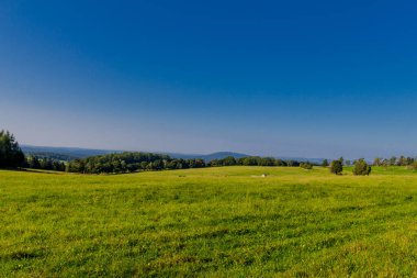 Güzel yaz sonu yürüyüşü Thüringen Ormanı 'nda - Steinbach-Hallenberg - Almanya
