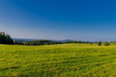 Güzel yaz sonu yürüyüşü Thüringen Ormanı 'nda - Steinbach-Hallenberg - Almanya