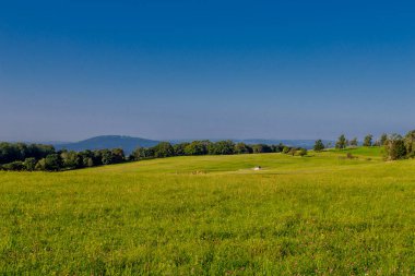 Güzel yaz sonu yürüyüşü Thüringen Ormanı 'nda - Steinbach-Hallenberg - Almanya
