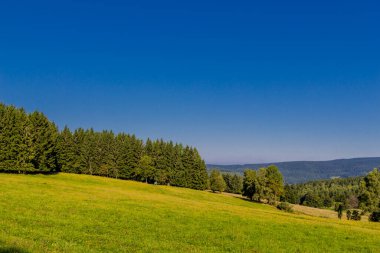 Güzel yaz sonu yürüyüşü Thüringen Ormanı 'nda - Steinbach-Hallenberg - Almanya