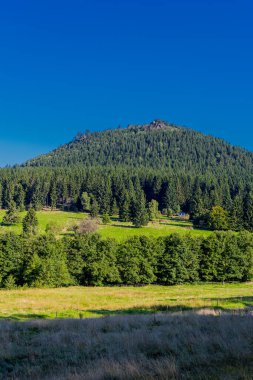 Güzel yaz sonu yürüyüşü Thüringen Ormanı 'nda - Steinbach-Hallenberg - Almanya