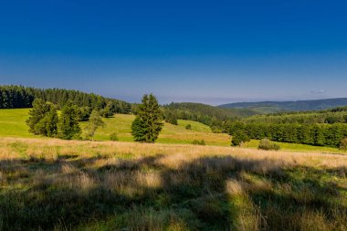 Güzel yaz sonu yürüyüşü Thüringen Ormanı 'nda - Steinbach-Hallenberg - Almanya