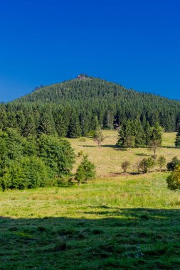 Güzel yaz sonu yürüyüşü Thüringen Ormanı 'nda - Steinbach-Hallenberg - Almanya