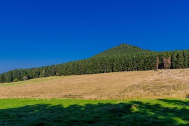 Güzel yaz sonu yürüyüşü Thüringen Ormanı 'nda - Steinbach-Hallenberg - Almanya