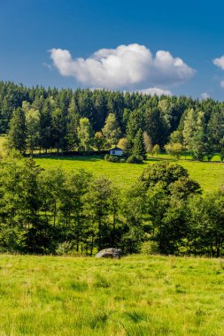 Güzel yaz sonu yürüyüşü Thüringen Ormanı 'nda - Steinbach-Hallenberg - Almanya
