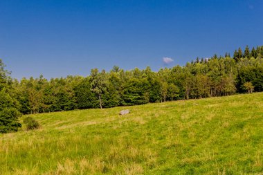 Güzel yaz sonu yürüyüşü Thüringen Ormanı 'nda - Steinbach-Hallenberg - Almanya