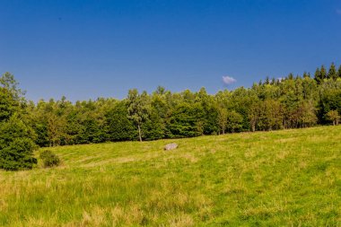 Güzel yaz sonu yürüyüşü Thüringen Ormanı 'nda - Steinbach-Hallenberg - Almanya