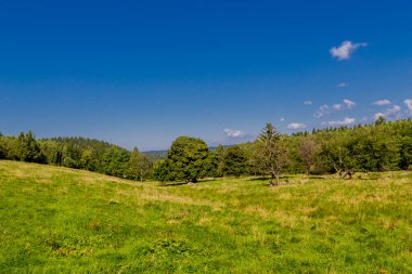 Güzel yaz sonu yürüyüşü Thüringen Ormanı 'nda - Steinbach-Hallenberg - Almanya