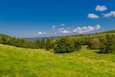 Güzel yaz sonu yürüyüşü Thüringen Ormanı 'nda - Steinbach-Hallenberg - Almanya