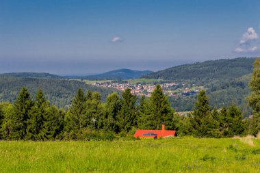 Güzel yaz sonu yürüyüşü Thüringen Ormanı 'nda - Steinbach-Hallenberg - Almanya