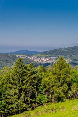 Güzel yaz sonu yürüyüşü Thüringen Ormanı 'nda - Steinbach-Hallenberg - Almanya