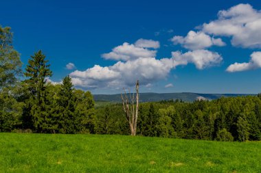 Güzel yaz sonu yürüyüşü Thüringen Ormanı 'nda - Steinbach-Hallenberg - Almanya