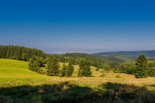 Krásná Letní Procházka Durynským Lesem Steinbach Hallenberg Německo — Stock fotografie