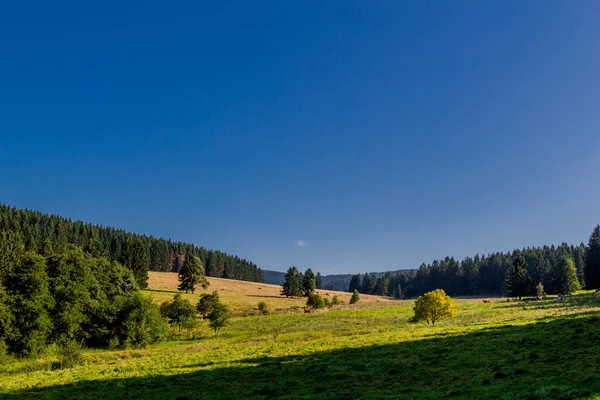 美丽的夏末漫步穿过图林根森林 德国斯坦巴赫 哈伦贝格 — 图库照片
