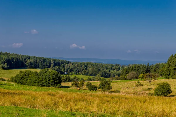 Schöne Spätsommerwanderung Durch Den Thüringer Wald Steinbach Hallenberg Deutschland — Stockfoto