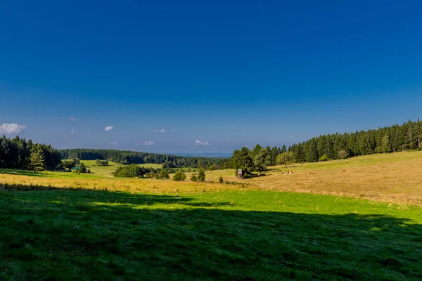 Güzel Yaz Sonu Yürüyüşü Thüringen Ormanı Nda Steinbach Hallenberg Almanya — Stok fotoğraf