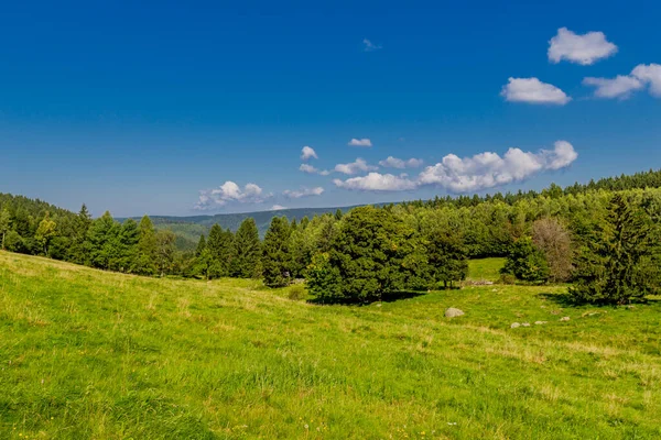 Hermoso Paseo Finales Del Verano Través Del Bosque Turingia Steinbach —  Fotos de Stock