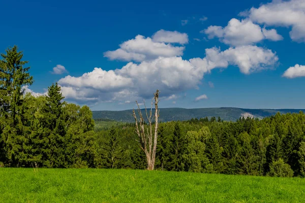 Mooie Late Zomerwandeling Door Het Thüringer Woud Steinbach Hallenberg Duitsland — Stockfoto