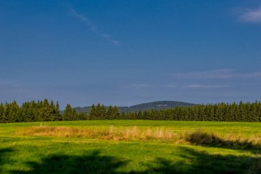 Rennsteig boyunca Almanya 'nın en güzel güneşli yaz yürüyüşü.