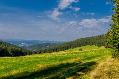 Rennsteig boyunca Almanya 'nın en güzel güneşli yaz yürüyüşü.