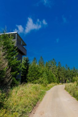 Rennsteig boyunca Almanya 'nın en güzel güneşli yaz yürüyüşü.