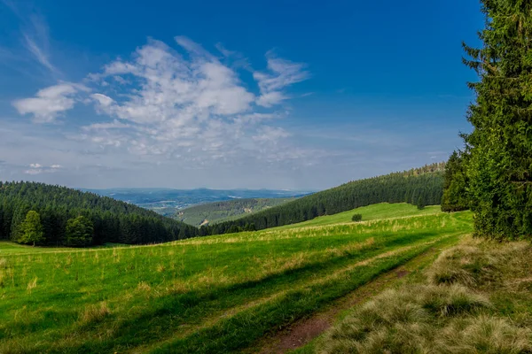 Rennsteig boyunca Almanya 'nın en güzel güneşli yaz yürüyüşü.