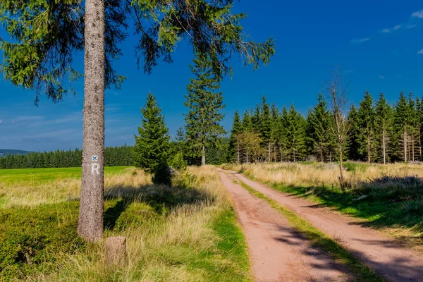 Late Zomerwandeling Langs Rennsteig Mooiste Zonneschijn Duitsland — Stockfoto