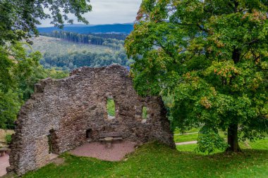 Bad Liebenstein 'ın güzel parklarında yaz sonu yürüyüşü