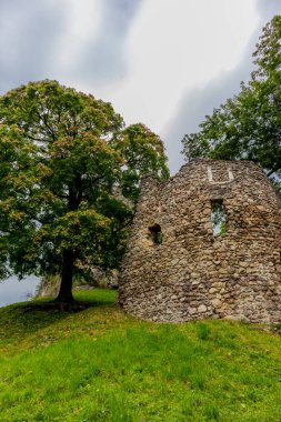 Bad Liebenstein 'ın güzel parklarında yaz sonu yürüyüşü