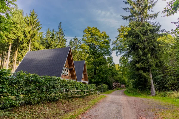 Herbstliches Erwachen Rennsteig Bei Schönem Wetter — Stockfoto