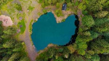 Rennsteig 'de sonbaharın en güzel sonbaharında sonbahar uyanışı.