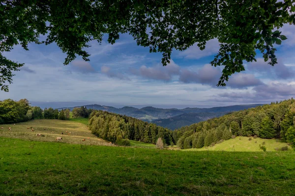 Réveil Automnal Sur Rennsteig Par Beau Temps — Photo