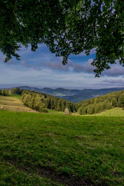 Despertar Outonal Rennsteig Tempo Bonito — Fotografia de Stock