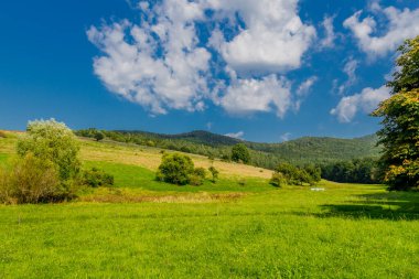 Schmalkalden 'in güzel doğasında sonbahar yürüyüşü - Thüringen - Almanya