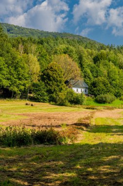 Schmalkalden 'in güzel doğasında sonbahar yürüyüşü - Thüringen - Almanya