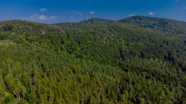 Schmalkalden 'in güzel doğasında sonbahar yürüyüşü - Thüringen - Almanya
