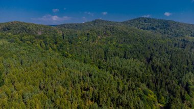 Schmalkalden 'in güzel doğasında sonbahar yürüyüşü - Thüringen - Almanya