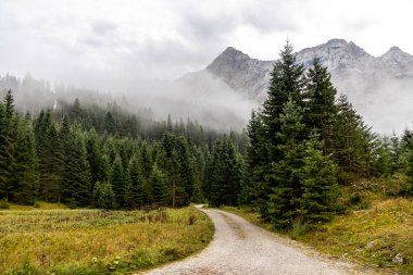 Mountain hike through the beautiful Bavarian Alps just outside Garmisch-Partnernkirchen up to the Zugspitze - Bavaria - Germany