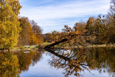 Güneşli bir sonbahar gününde Bavyera başkentinde bir gezinti Münih Bavyera Almanya 