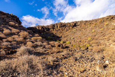 Yaz sonlarında Tenerife 'nin Kanarya Adası' nda Costa Adeje - İspanya tatil beldesinde 