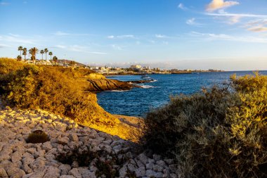 Yaz sonlarında Tenerife 'nin Kanarya Adası' nda Costa Adeje - İspanya tatil beldesinde 