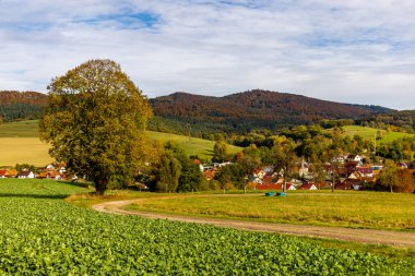 Thüringen Ormanı 'nın güneybatısında, Schmalkalden Thüringen Almanya' sında sonbahara doğru küçük güzel bir yürüyüş.