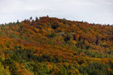 Thüringen Ormanı 'nın güneybatısında, Schmalkalden Thüringen Almanya' sında sonbahara doğru küçük güzel bir yürüyüş.